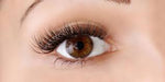 Classic Semi Permanent Lash Course